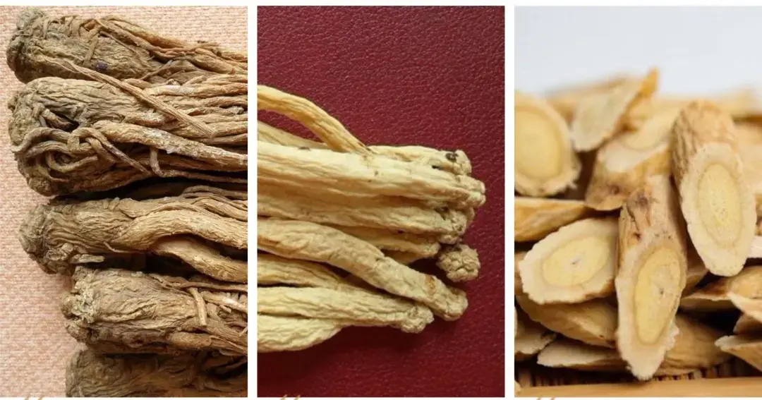 74最后来看看当归,党参和黄芪的区别.