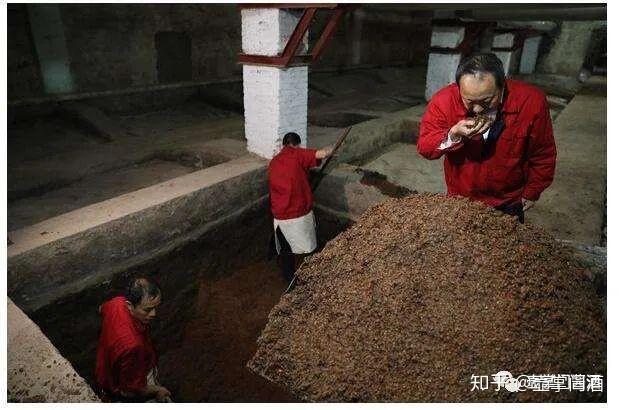 你知道酱香型白酒窖池是怎么建造怎么培养的吗