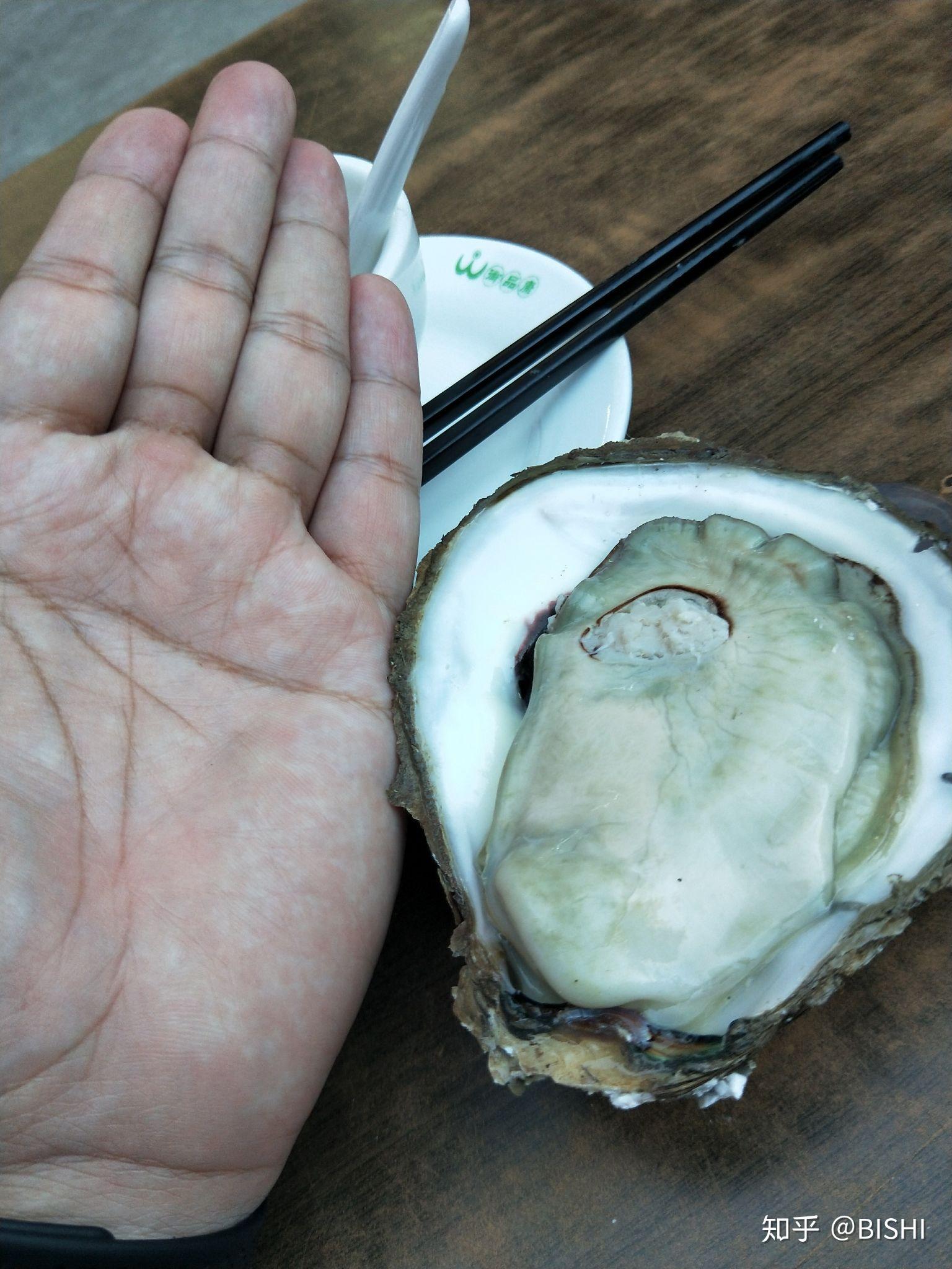 深圳美食梅林四季美蚝皇