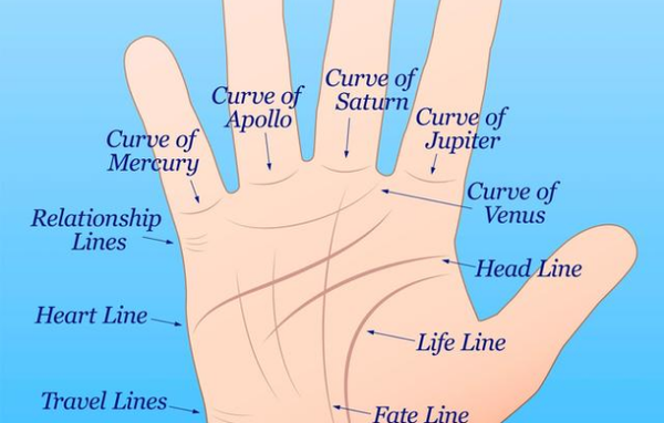 看看你的手相 知道那根是生命线吗 知乎