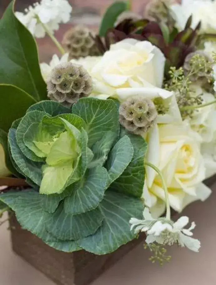 花艺∣完美花束不可少的7款超高颜值配草你知道吗