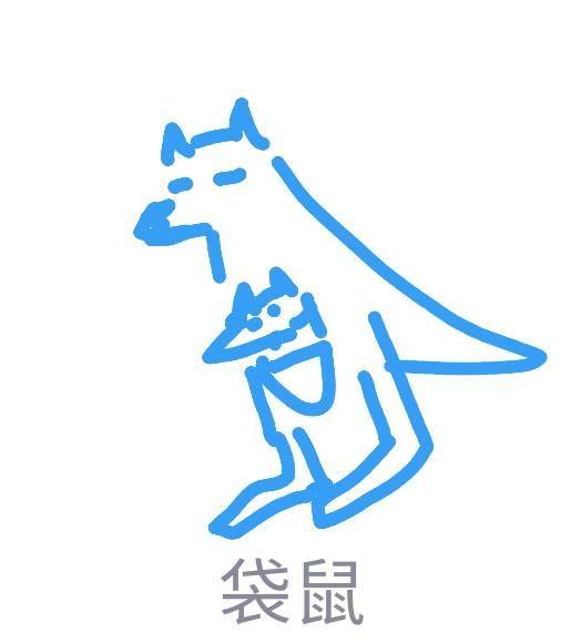 如何评价qq画图红包