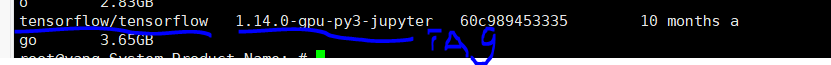  4 Tensorflow Docker Tensorflow Docker19 