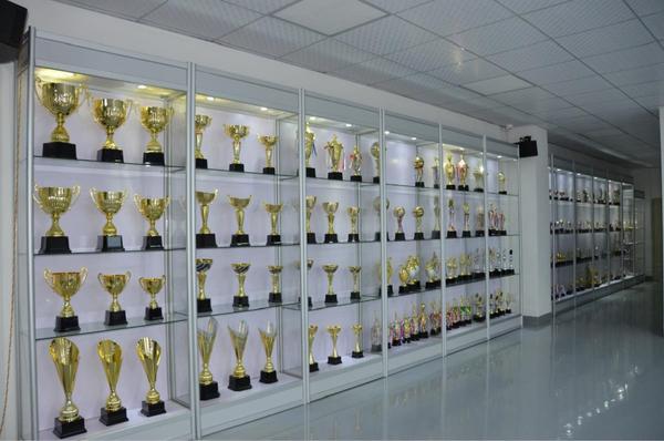 浦江县成友水晶工艺品牌林典定制奖杯让你的荣耀更出彩
