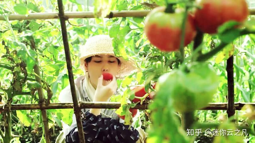什么是生活的本质 v2-32ff80f7195d295015830007506c1dfe_r.jpg