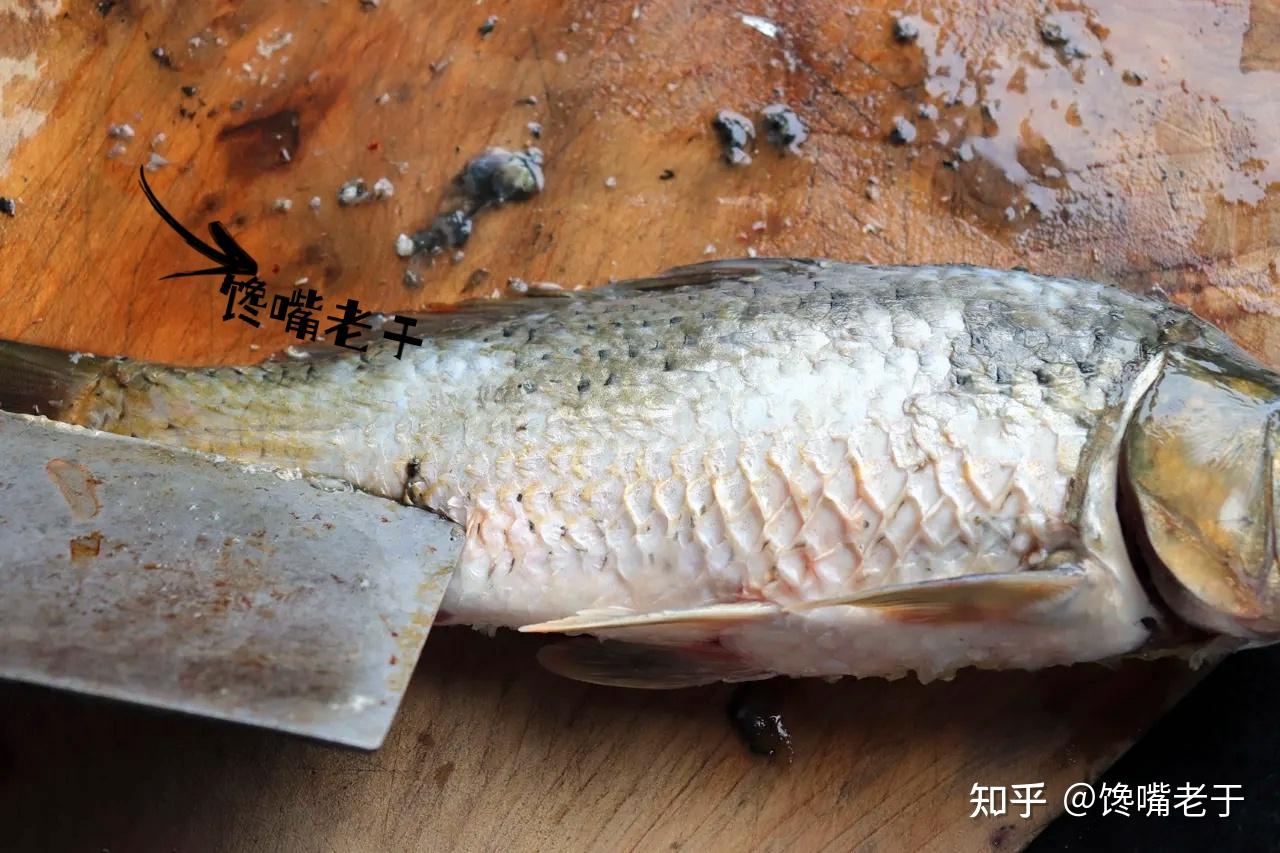 这4处才是腥味之源,处理好鱼肉鲜甜无腥味