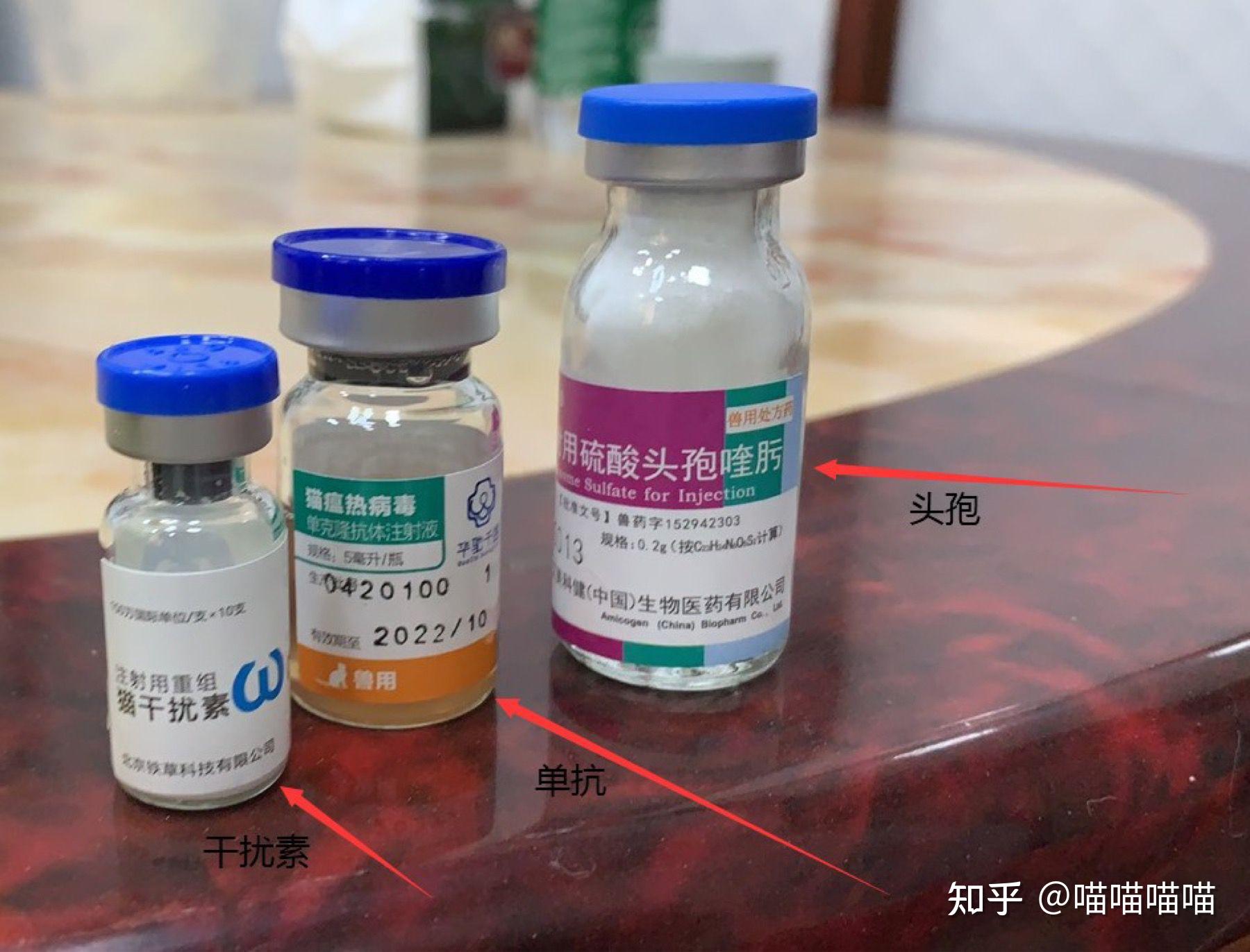 针对继发感染消炎的:头孢对病毒起效的:单抗(猫瘟病毒单克隆抗体)