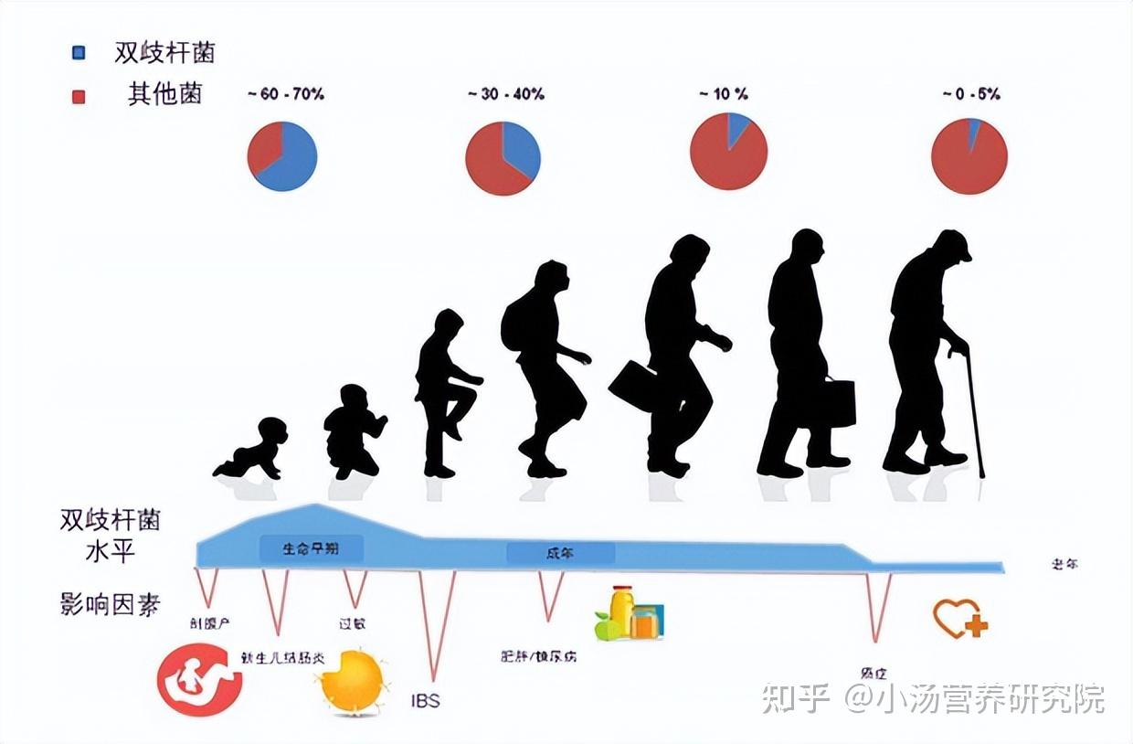 不同的宿主,微生物,饮食和环境因素都会影响人类肠道的细菌定殖.