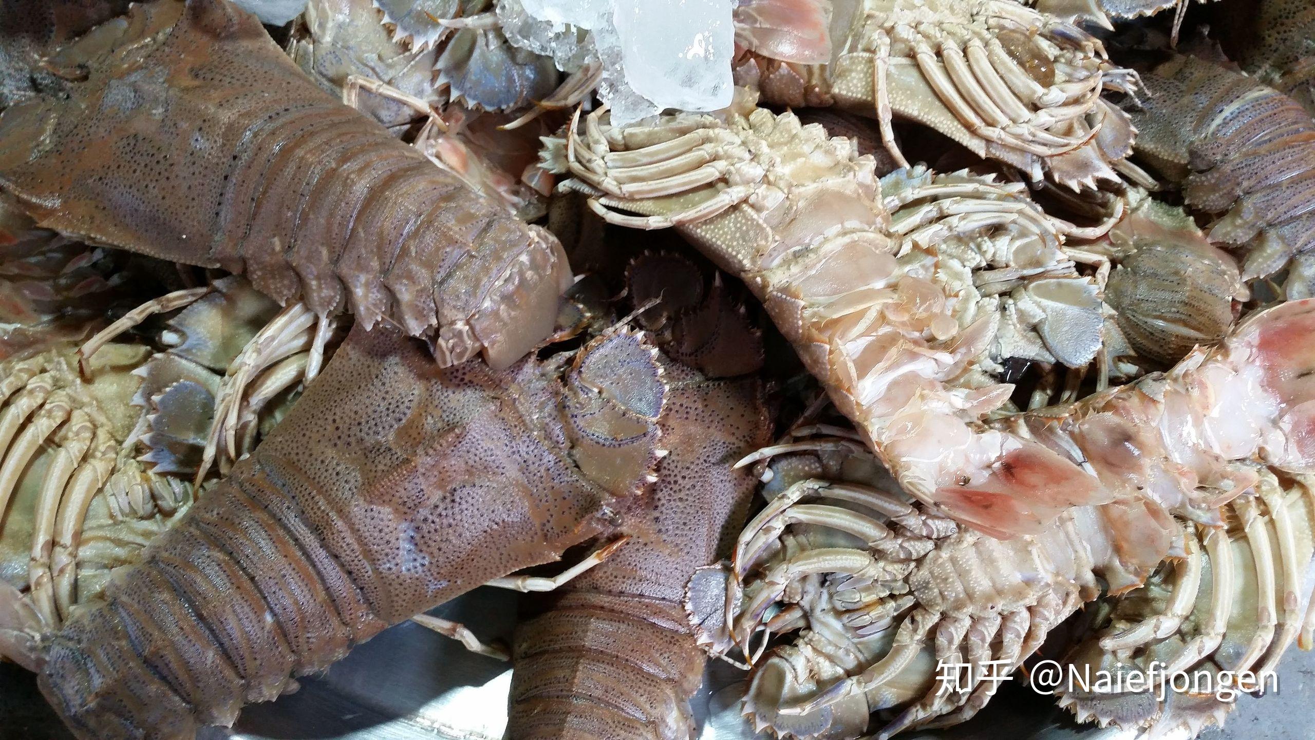 皮皮虾和虾蛄有什么区别? - 知乎