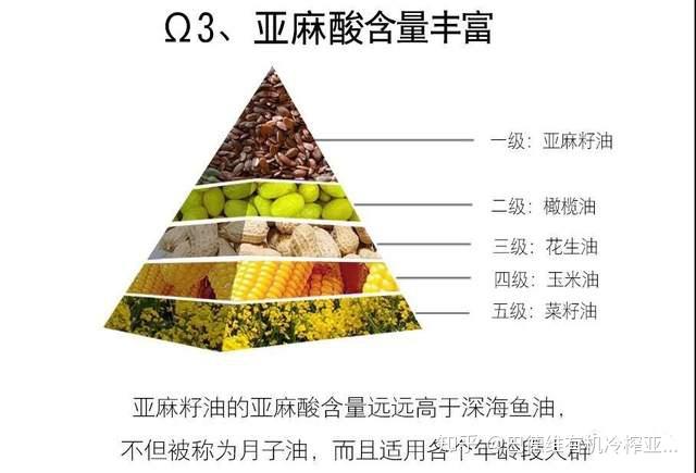 家用螺旋榨油机：厨房里的绿色能源