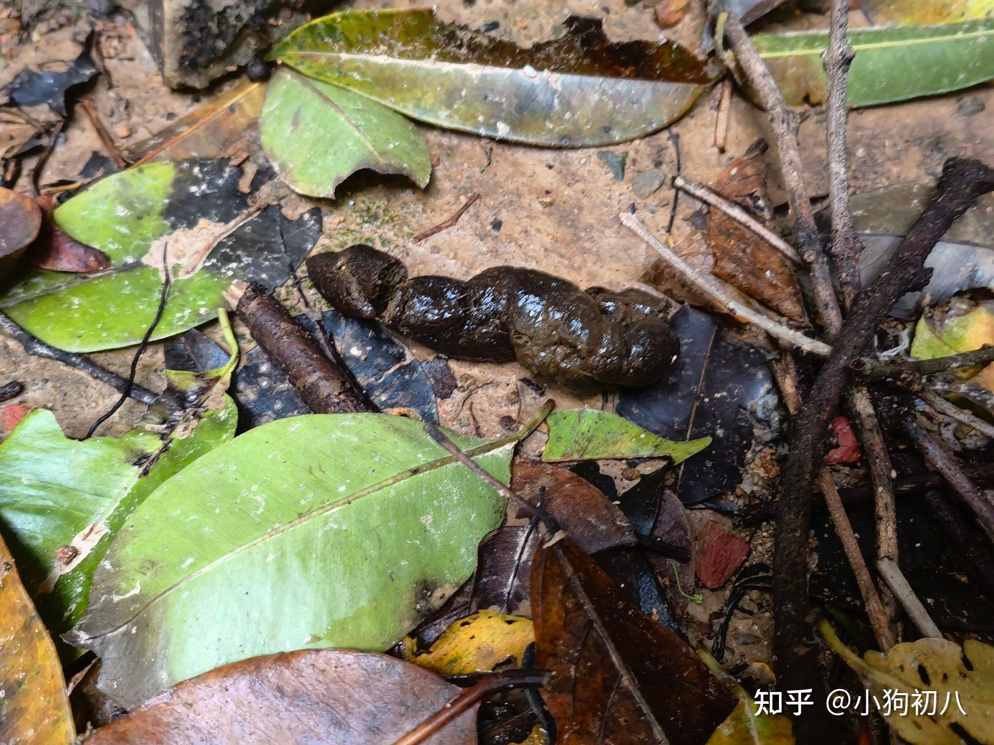 《便便日记》09.09