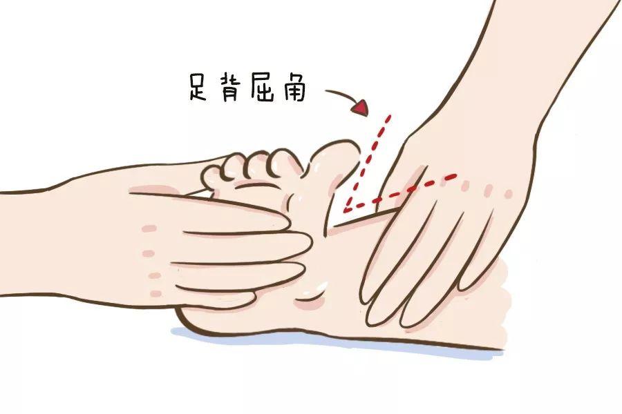 检查方法:宝宝仰卧,扶着宝宝的腿伸直,使足背屈向小腿,用手掌压足底