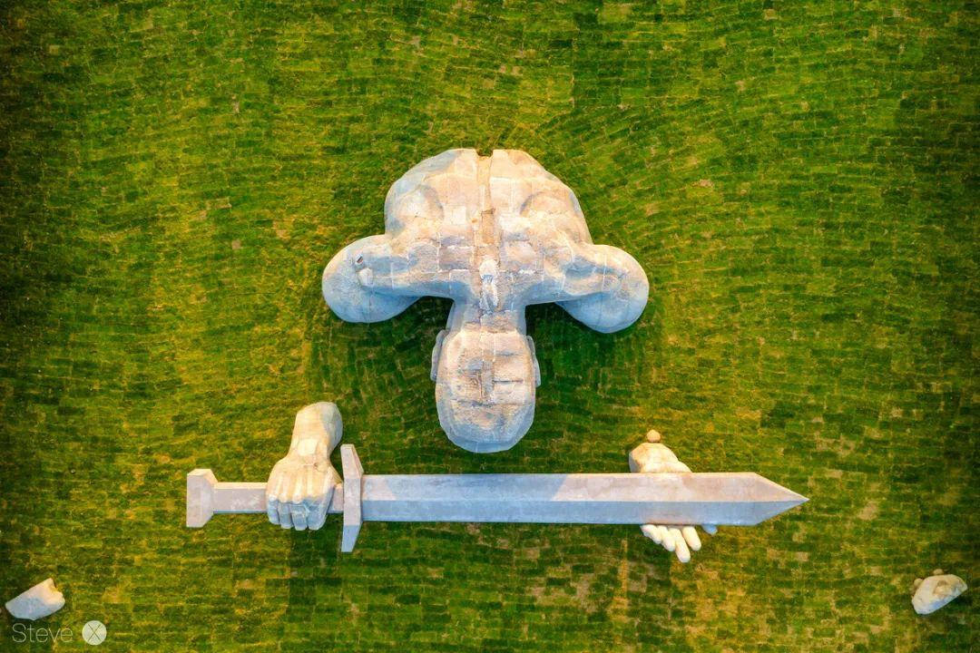 西工大立功了中国扑翼飞行器获得重大突破外媒集体破防了