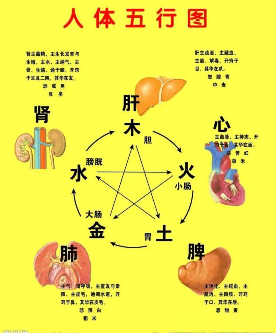 食物和五行的属性。 - 知乎