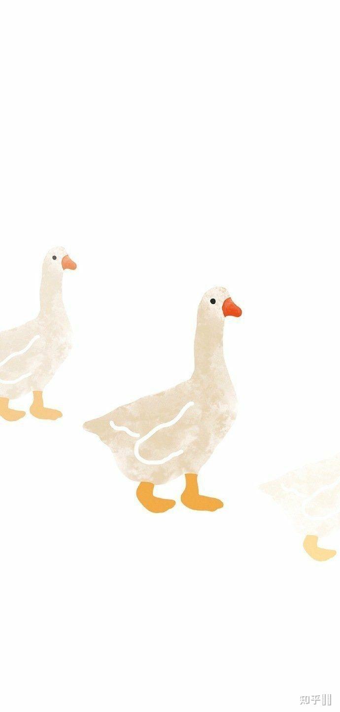 有没有可爱的鸭子壁纸呀