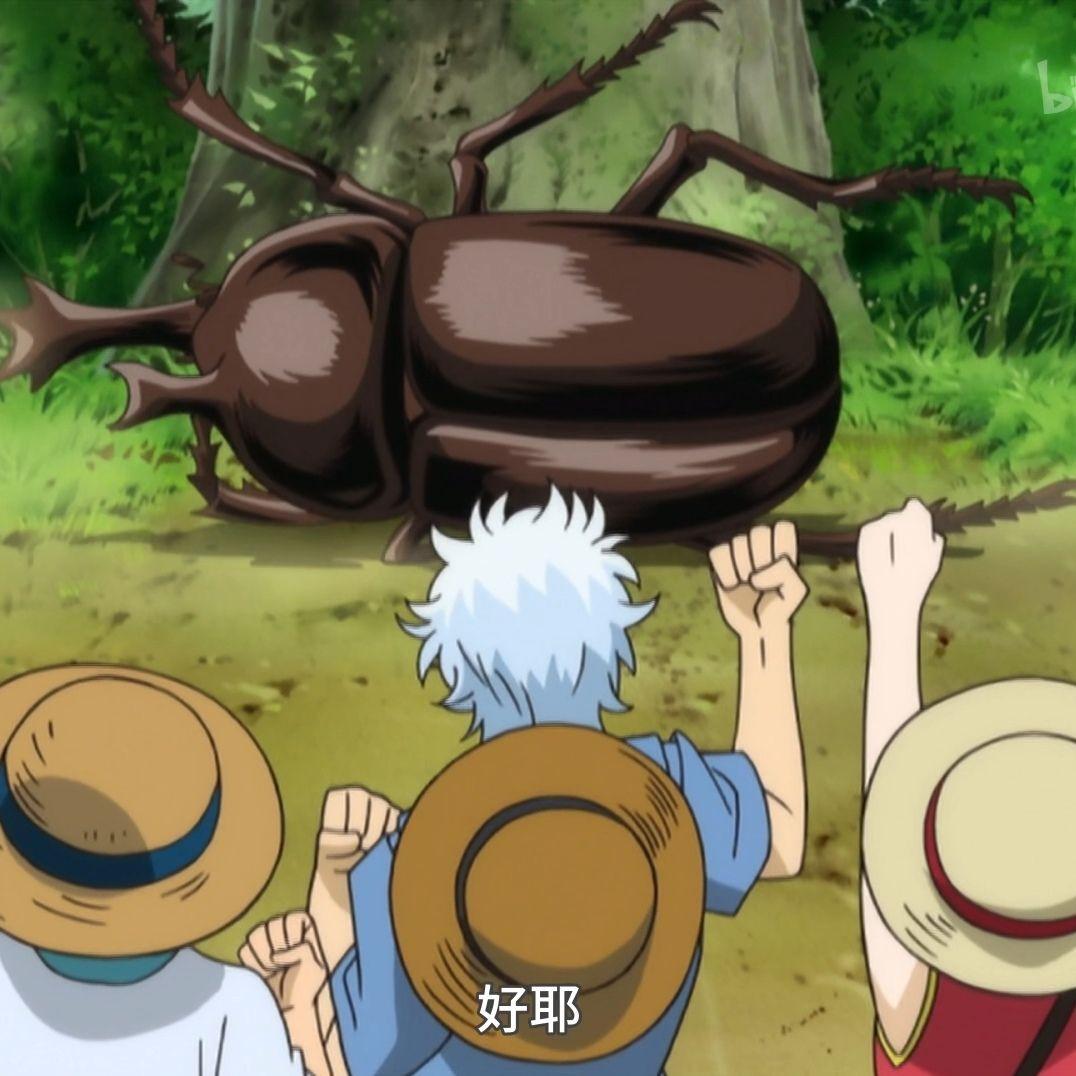 银魂自截头像第二弹～独角仙