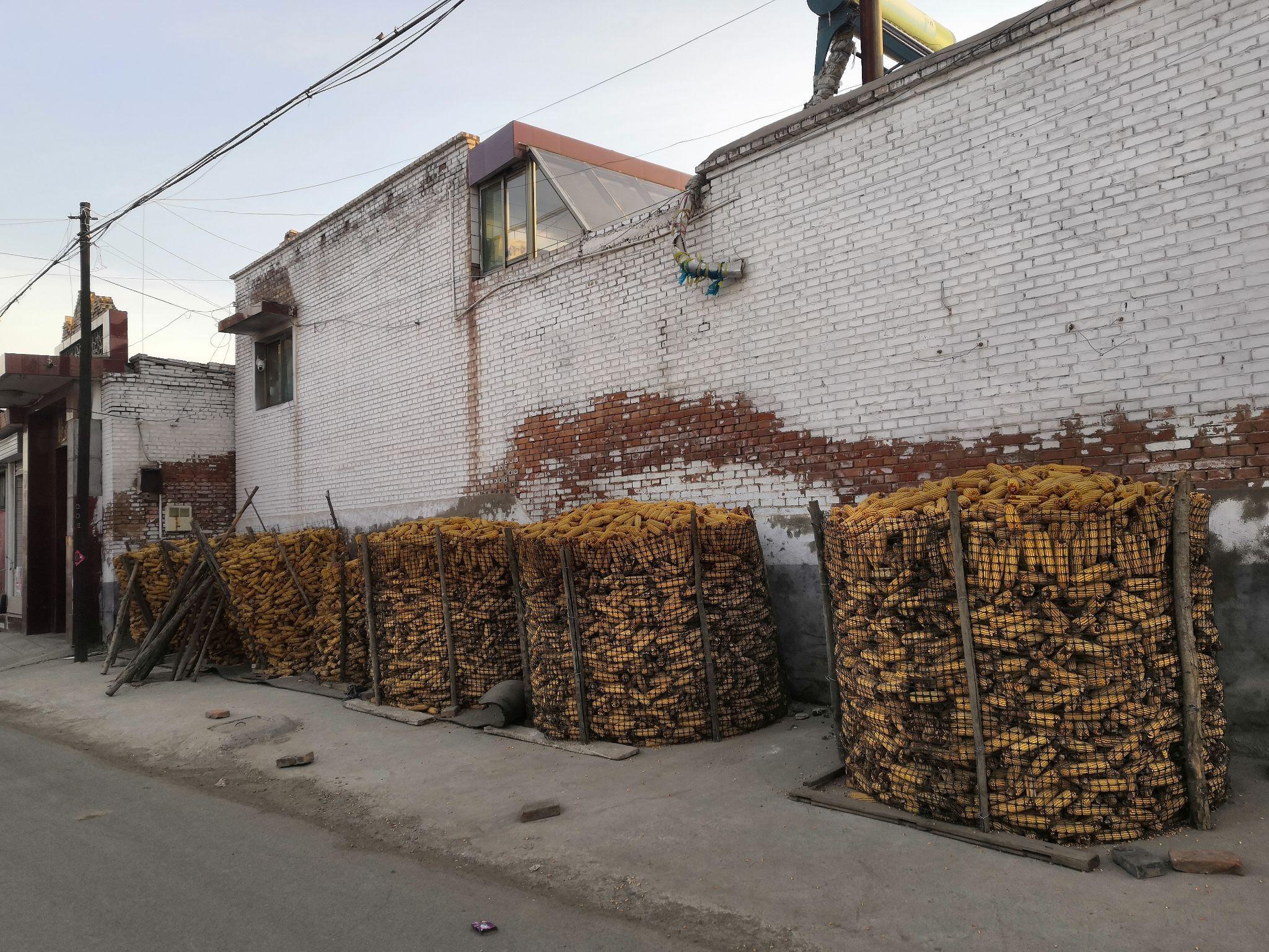 祁县农村玉米笼组图合集大全越失败越有趣