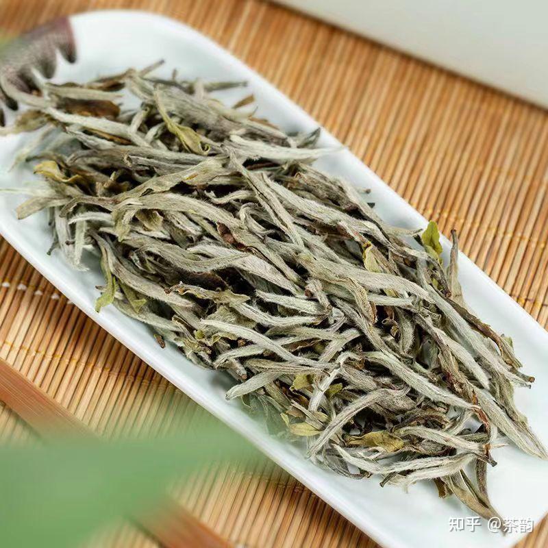 走进白茶原产地,探索白茶的发展历程