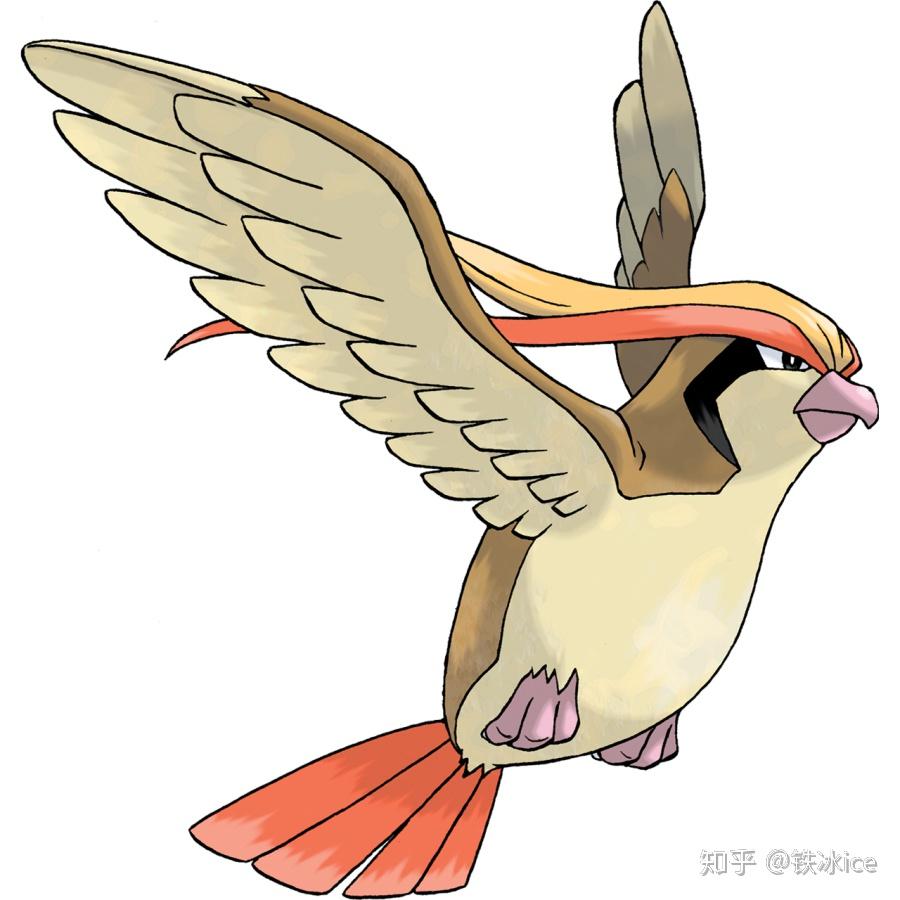 家门鸟指在游戏的初期阶段可以收服到的鸟类宝可梦,多为一般和飞行