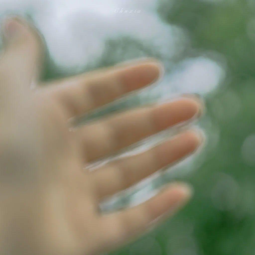 超级好看的绿色系壁纸,在这呢!护眼壁纸(绿色系列的壁纸)