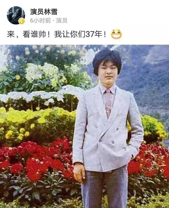 人人都爱林雪 - 知乎
