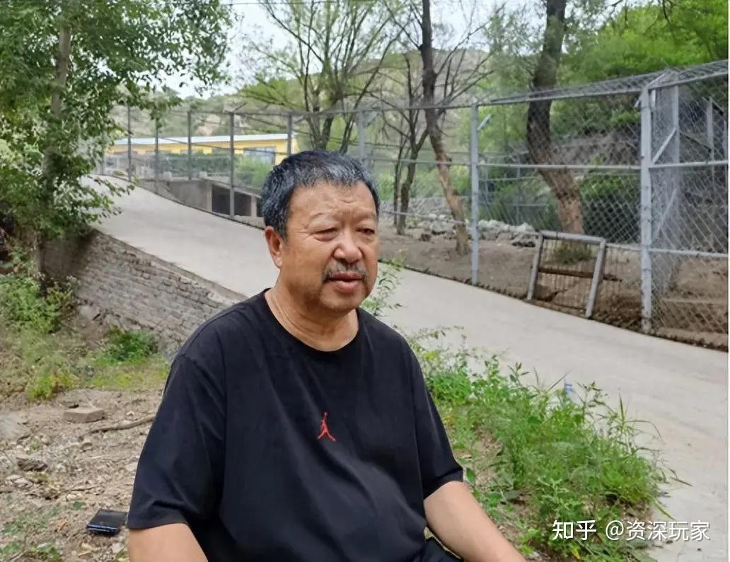 民间养虎人李明义,22年嗜虎如命,如今73只东北虎却难寻出路