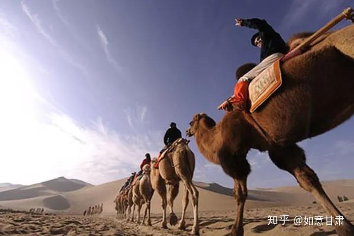 民勤驼道四通八达,东至京津,北至库伦,莫斯科,西至西藏,新疆伊犁,南至