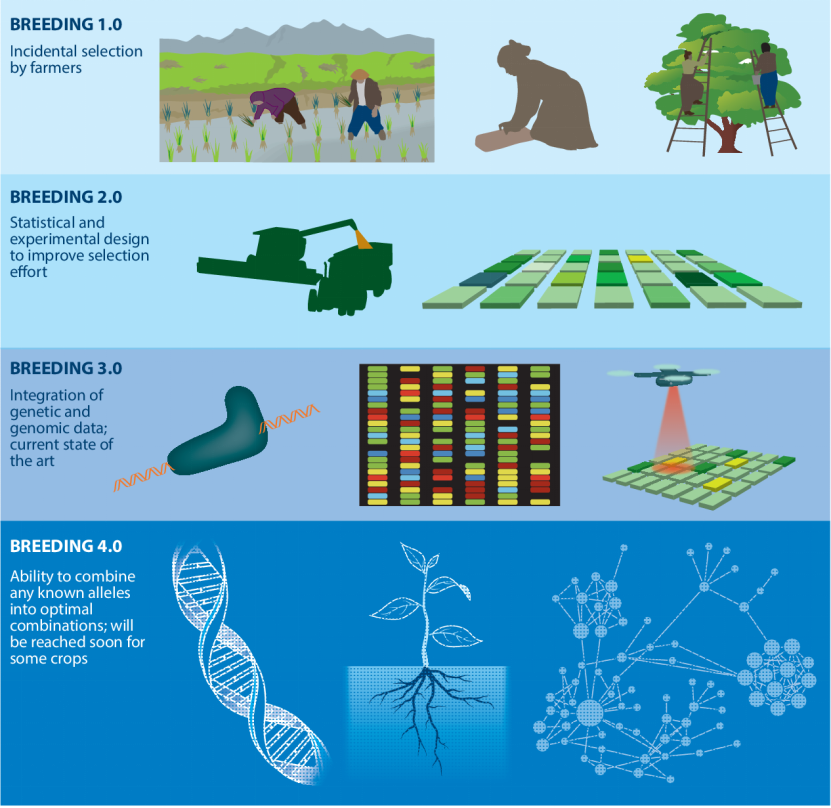 生物世纪来了看科学家如何以生物育种助力衣食无忧
