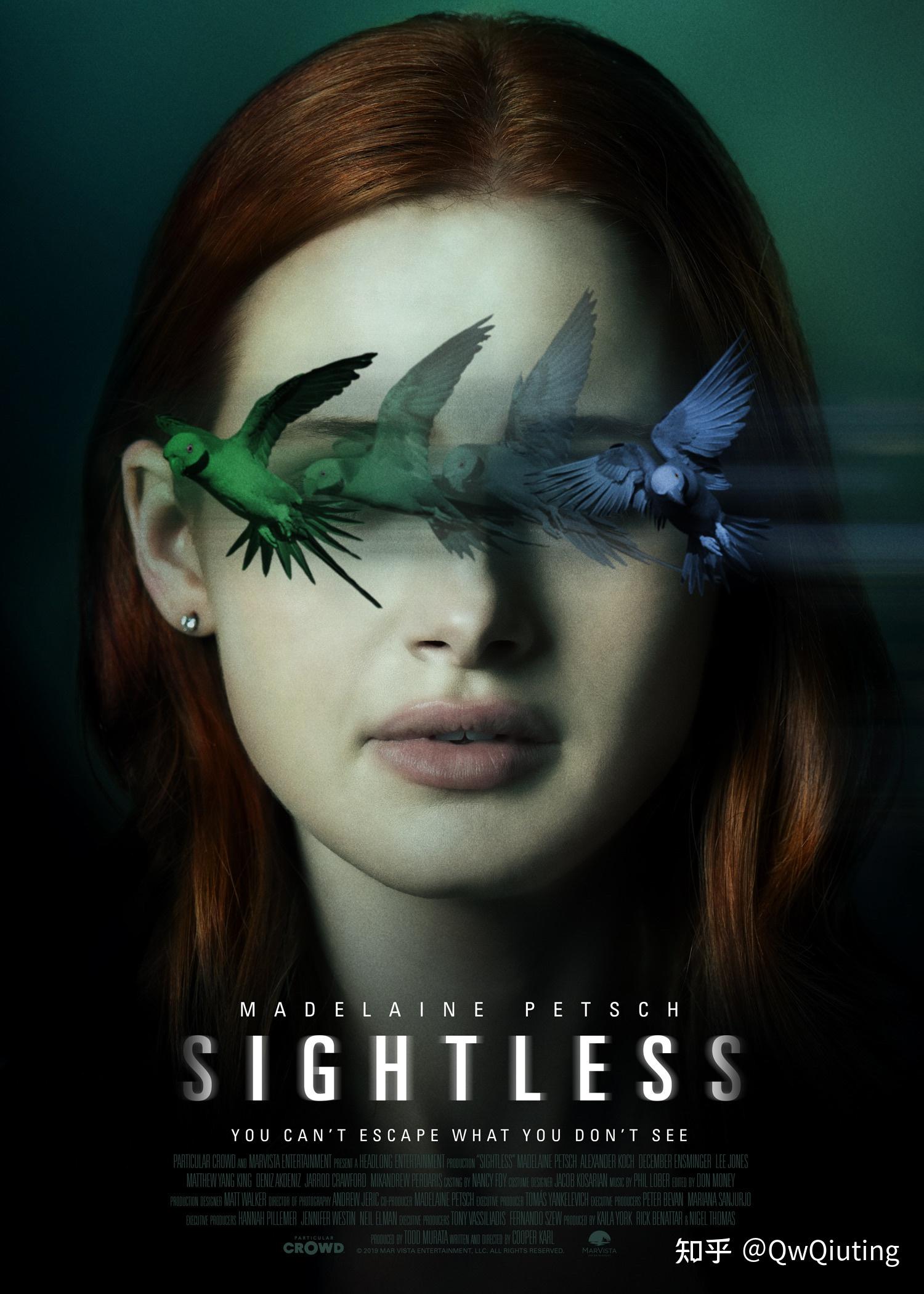 电影《迷盲》(sightless) ——————又一部关于粉丝对偶像的迷惑