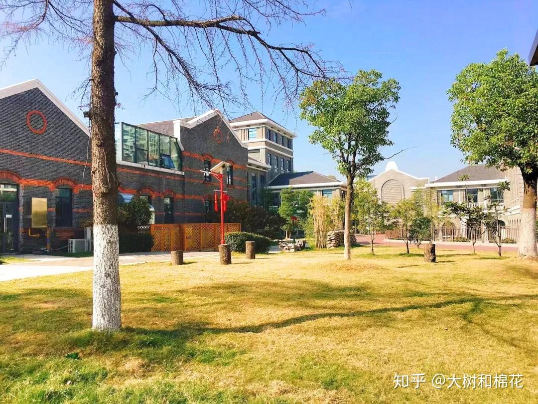 参加南京泰晤士timescollege国际学校的一些感受