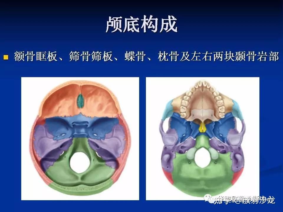 实用、详细的颅底各孔道影像解剖！ - 知乎