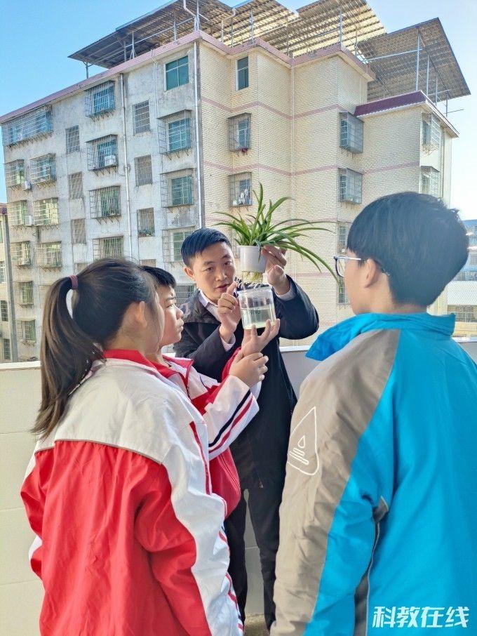 《植物微课堂》由常宁八中雷洋文老师于2022年9月开始设计,2023年9月