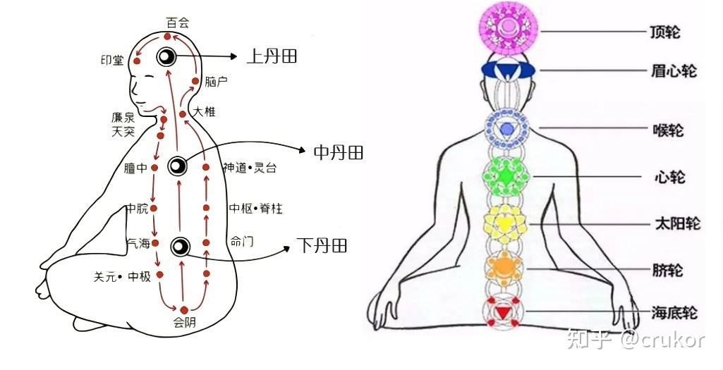 基础知识：丹田、督脉、中脉（冲脉） - 知乎
