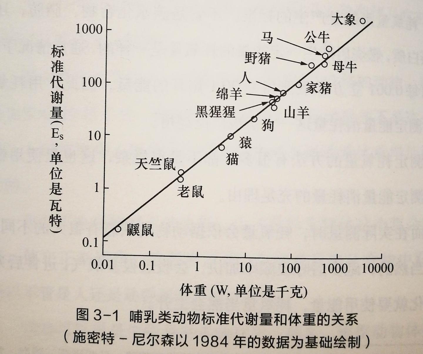 v2-340fb2a250bf6e3e8d7ddb8871317f9c_1440w.jpg?source=172ae18b