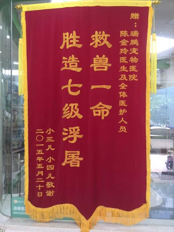 今天带猫做绝育,被宠物医院里的锦旗笑出猪叫声.