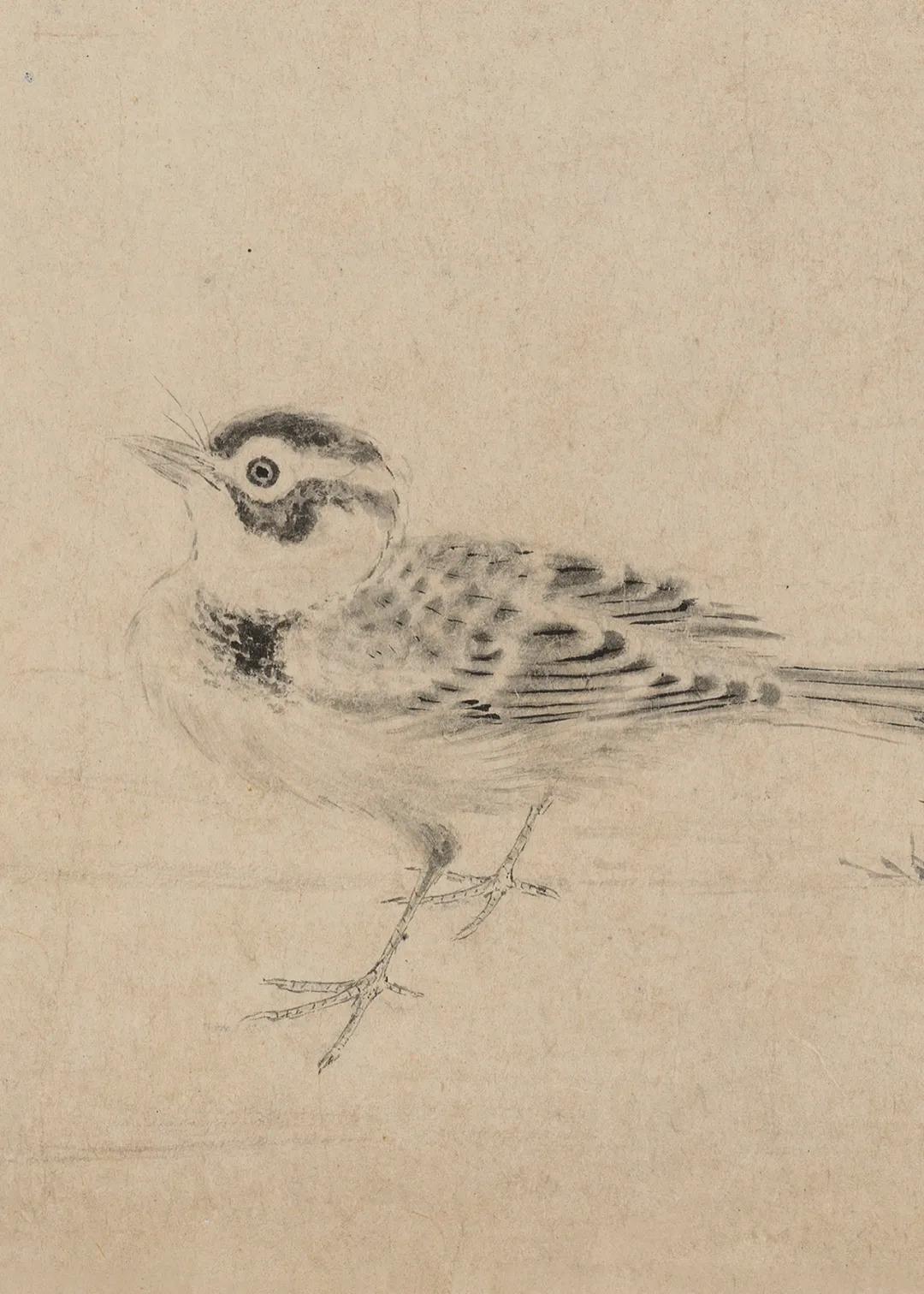 石渠宝笈名迹丨宋徽宗写生珍禽图