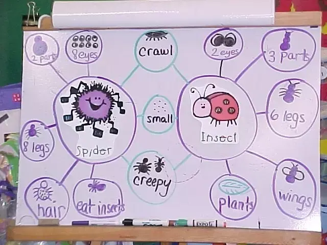 用思维导图可以搞定英语学习?这个魔力,我们一起研究:) - 知乎