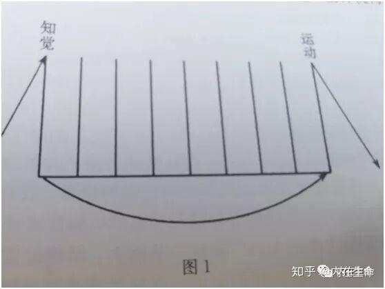 梦的解析第七章第二节