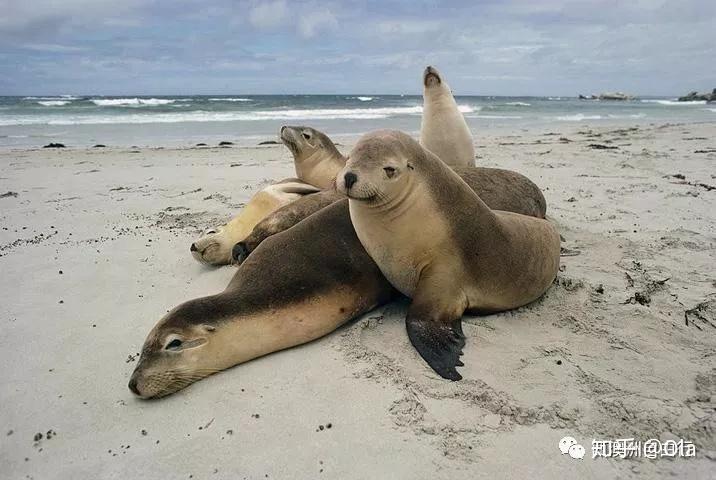 去美丽的浪漫粉红湖,火星表面的尖峰石阵,玛格丽特的红酒酒庄,树顶
