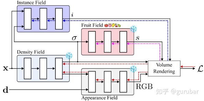 Overview of the FruitNeRF++ architecture, split up into four different components: density field, appearance field, fruit field,and instance field.