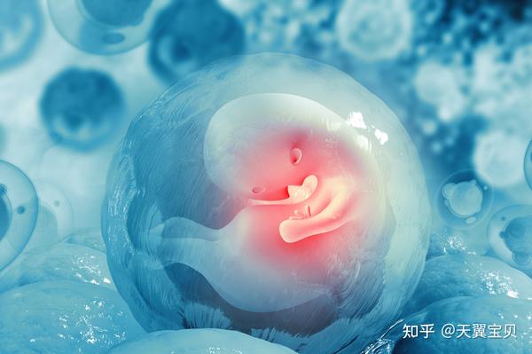 捐卵的怀孕外观：与自然受孕的区别 (捐卵怀孕合法吗)