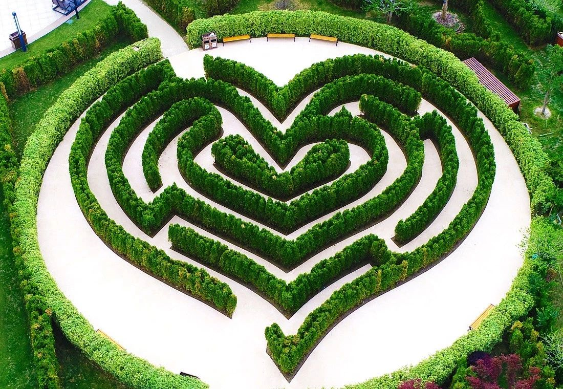 放开想象,原来亲子迷宫可以这样设计?