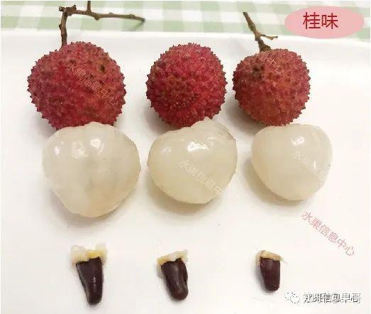 测评时下5种荔枝，谁才是你心目中的王者？ - 知乎