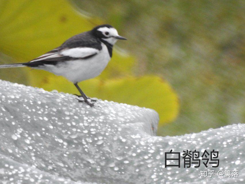 有什么有趣的实验?