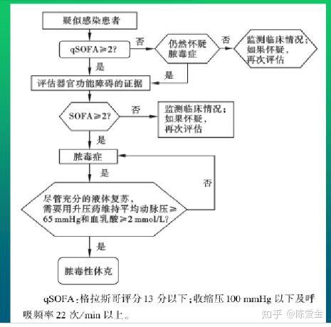 qsofa评分流程图图片