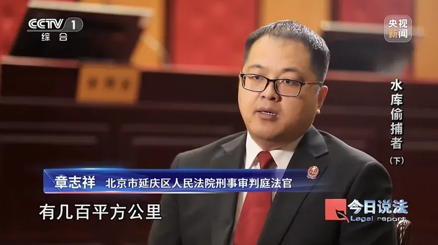 《今日说法》:非法捕捞的罪与罚