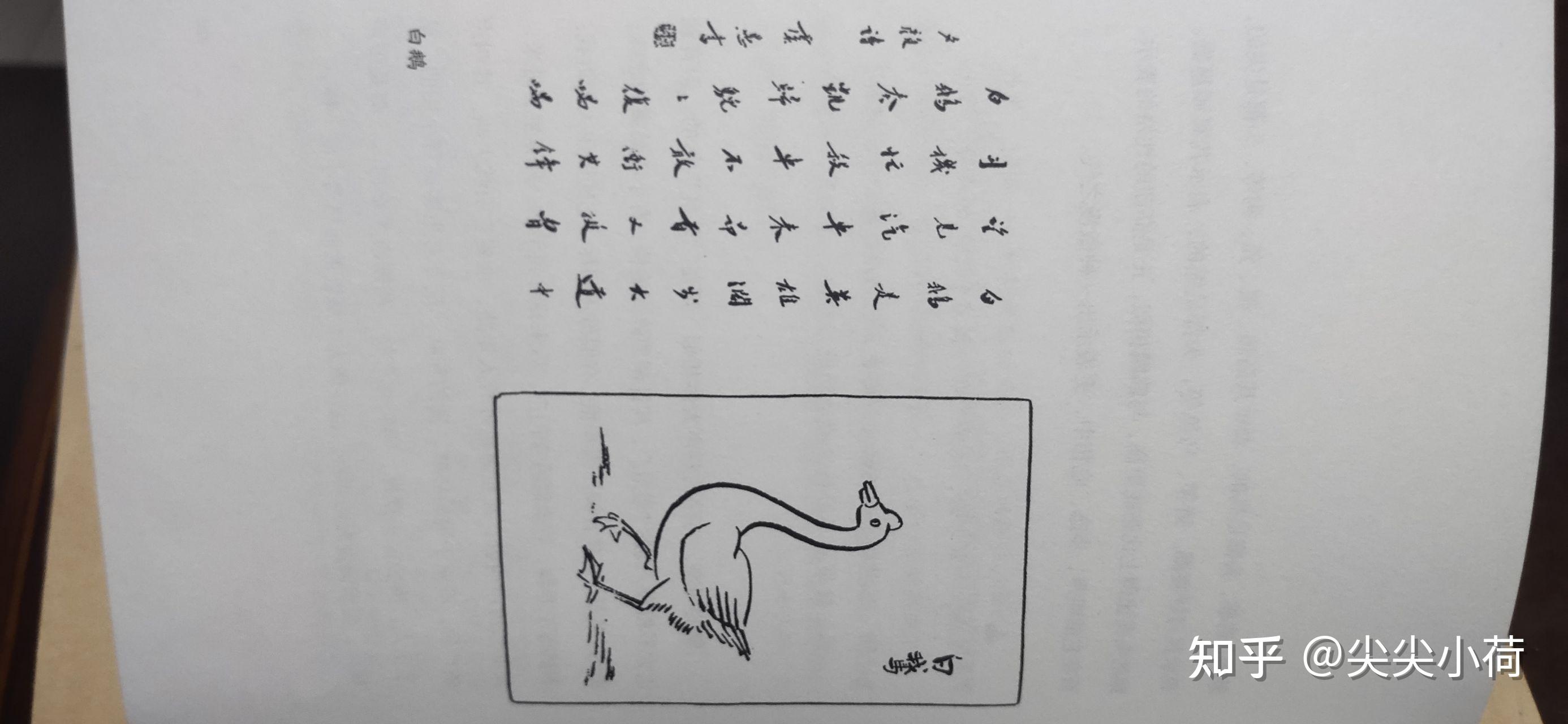 "鹅的步调从容,大模大样的,颇像平剧里的净角出场".