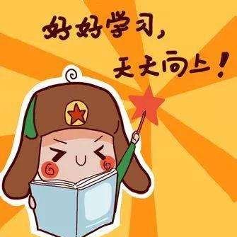 小小杉树