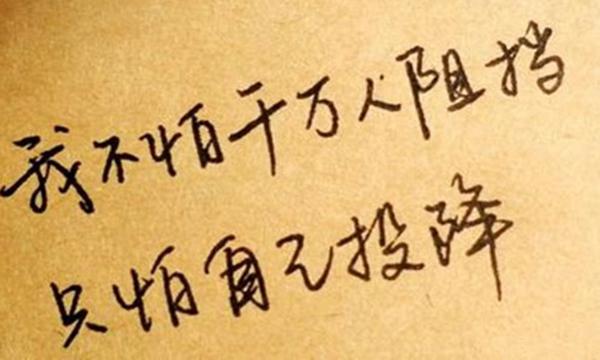 什么是老君十四字真言?