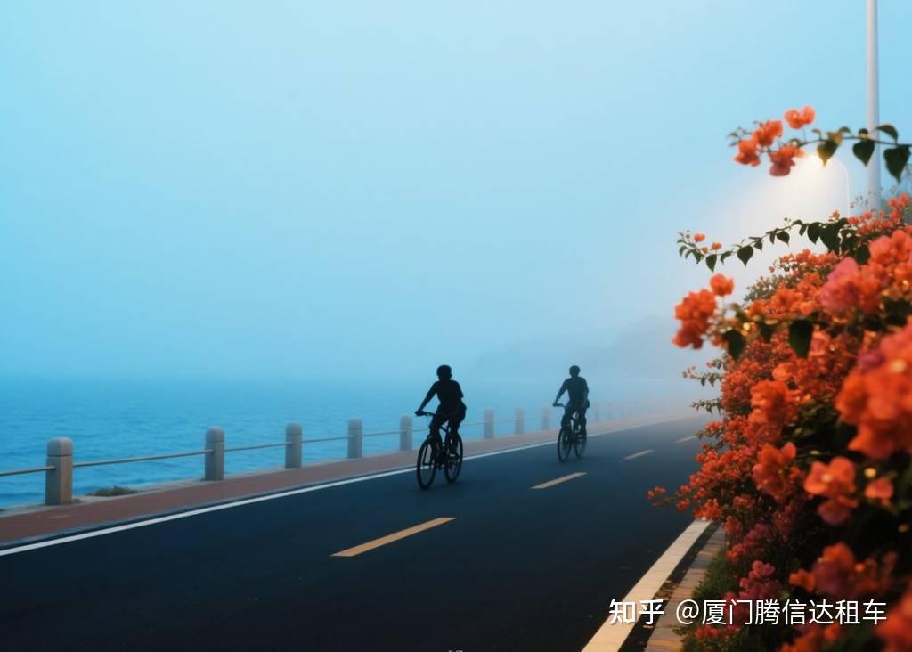 2026厦门租车自驾必看|新手司机避坑指南,一篇帮你安全上路!